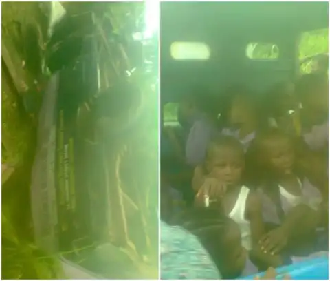Primary school pupils left unharmed after their School bus somersaulted